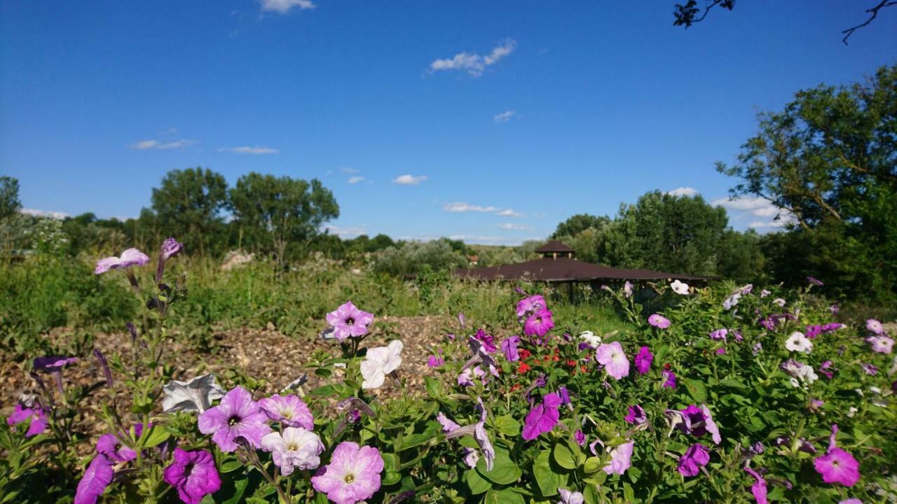 Szellos Ret Camping Balvanyos Exteriér fotografie
