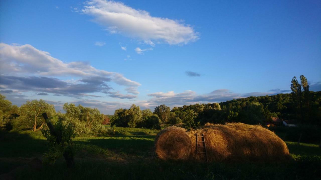 Szellos Ret Camping Balvanyos Exteriér fotografie